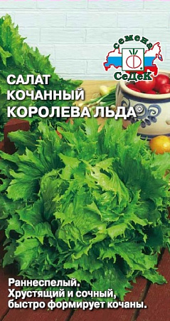 Салат Королева льда кочанный, 0,5 г (Седек)