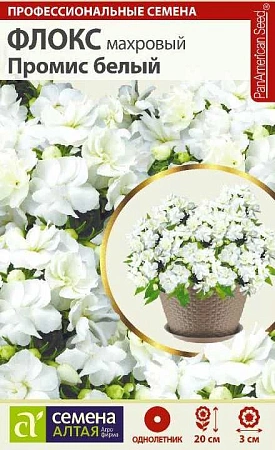 Флокс Промис белый, 5 шт Флокс Промис белый, 5 шт