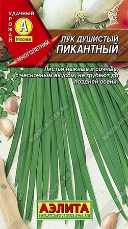 Лук душистый Пикантный 0,5 г (АЭЛИТА) Лук душистый Пикантный 0,5 г (АЭЛИТА)