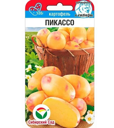 Картофель Пикассо 12 шт (Сиб Сад)