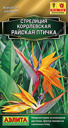 Стрелиция королевская Райская птичка, 3 шт (Аэлита)