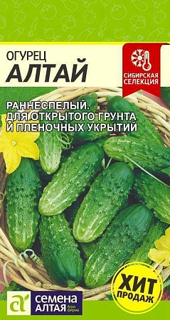 Огурец Алтай 0,5 г (Сем Алт) Огурец Алтай 0,5 г (Сем Алт)