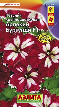 Петуния Арлекин Бургунди, 10 шт