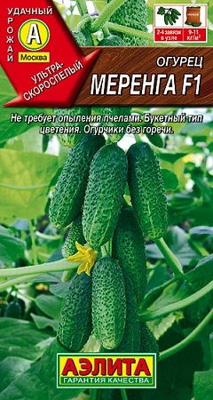 Огурец Меренга F1, 10 шт Огурец Меренга F1, 10 шт