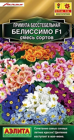 Примула Белиссимо F1, смесь сортов 7 шт