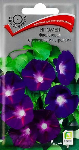 Ипомея Фиолетовая с пурпурными стрелами однолетник, 0,5 г (Поиск) Ипомея Фиолетовая с пурпурными стрелами однолетник, 0,5 г (Поиск)