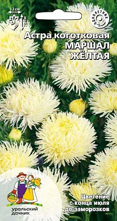 Астра Маршал желтая коготковая (УД)