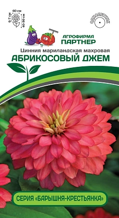Цинния Абрикосовый джем (5 шт), 2-ной пак. (ПАРТНЕР)