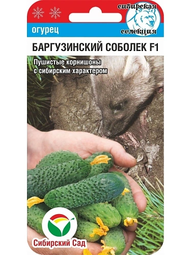 Огурец Баргузинский соболек F1, 7 шт (Сиб Сад) Огурец Баргузинский соболек F1, 7 шт (Сиб Сад)
