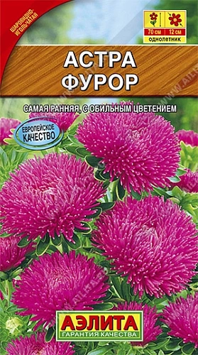 Астра Фурор шаровидно-игольчатая 0,2 г Астра Фурор шаровидно-игольчатая 0,2 г