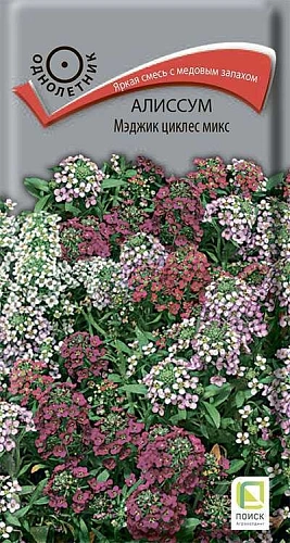 Алиссум Мэджик циклес микс, 0,1 г (Поиск) Алиссум Мэджик циклес микс, 0,1 г (Поиск)