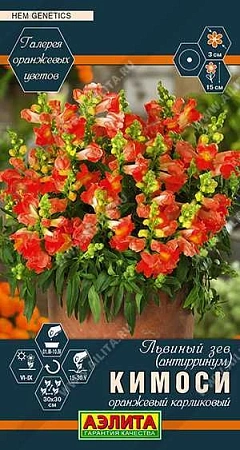 Львиный зев Кимоси оранжевый карликовый, 0,05 г (Аэлита) Львиный зев Кимоси оранжевый карликовый, 0,05 г (Аэлита)