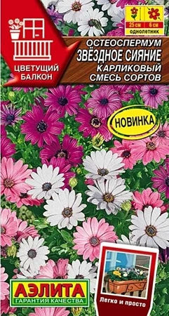 Остеоспермум Звездное сияние карликовый, смесь сортов 10 шт (Аэлита)