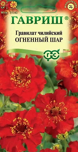 Гравилат Огненный шар многолетник, 0,05 г (Гавриш) Гравилат Огненный шар многолетник, 0,05 г (Гавриш)