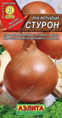 Лук репчатый Стурон 0,5 г (АЭЛИТА) Лук репчатый Стурон 0,5 г (АЭЛИТА)