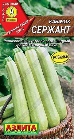 Кабачок цукини Сержант, 1 г (АЭЛИТА)