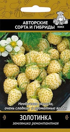 Земляника Золотинка ремонтантная, 100 шт (Поиск) Земляника Золотинка ремонтантная, 100 шт (Поиск)