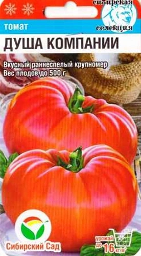 Томат Душа компании, 20 шт (Сиб Сад) Томат Душа компании, 20 шт (Сиб Сад)